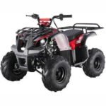 D125 Automatic ATV with Reverse - Image 3