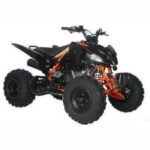 2025 ODES PENTORA EFI SPORT 176cc FULLY AUTOMATIC ATV