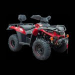 Big Horn 300 (4X4) DX Automatic ATV