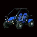 VENTURE 200 EFI AUTOMATIC GOKART