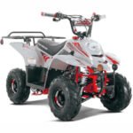 B110 - BOULDER B1 Automatic ATV | 110cc - Image 29
