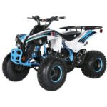 TrailMaster C125 ATV (8 Wheel) - Image 8