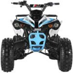 TrailMaster C125 ATV (8 Wheel) - Image 9