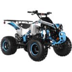 TrailMaster C125 ATV (8 Wheel) - Image 10