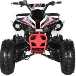 TrailMaster C125 ATV (8 Wheel) - Image 2