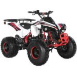 TrailMaster C125 ATV (8 Wheel) - Image 3