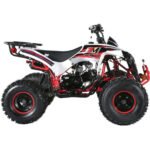 TrailMaster C125 ATV (8 Wheel) - Image 5