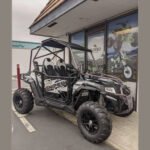 BMS SNIPER T 350 Sport UTV Full Sized Adult Automatic w/ Reverse - Image 8