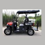 CROSSFIRE 200cc EFI 4X2 UTV GAS GOLF CART - Image 12