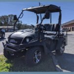 Linhai Big Horn 200 GVXL 4x2 High/Low EFI Utility Golf Cart - Image 9