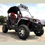 TM CHALLENGER 200X DELUX UTV - Image 2