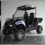 TrailMaster Challenger 200EUX UTV | EFI - Image 13