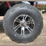 TrailMaster Challenger 200EX (EFI) - Image 10