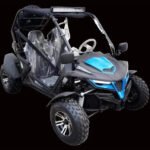 TrailMaster Cheetah 200EX (EFI) Go Kart