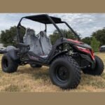 Trailmaster Cheetah 200 Go kart ,Upgraded rear end, high back seats, Full Welded Roll Cage - Image 4