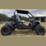 Trailmaster Cheetah 200 Go kart ,Upgraded rear end, high back seats, Full Welded Roll Cage - Image 7