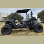 Trailmaster Cheetah 200 Go kart ,Upgraded rear end, high back seats, Full Welded Roll Cage - Image 11