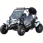 Trailmaster Cheetah 200X Off Road UTV / Go Kart / Full size Youth and Adults, Upgraded Suspension - Image 3