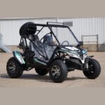 Trailmaster Cheetah 200X Off Road UTV / Go Kart / Full size Youth and Adults, Upgraded Suspension - Image 4