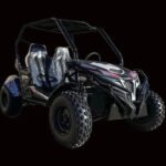 Trailmaster Cheetah 300E Off Road UTV