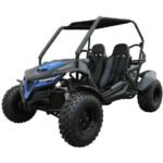Trailmaster Cheetah 200EX Off Road UTV / Go Kart / side-by-side Wind Shield, Light bar, Spare Tire, Upgraded Center Pivot rear end, Fuel Injected - Image 2