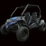 Trailmaster Cheetah 200 Go kart ,Upgraded rear end, high back seats, Full Welded Roll Cage