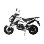 HELLCAT 125 4 Speed Manual GROM SCOOTER