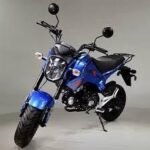 HELLCAT 125 4 Speed Manual GROM SCOOTER - Image 2