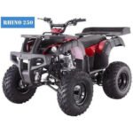 RHINO 250 Manual ATV with Reverse