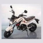HELLCAT 125 4 Speed Manual GROM SCOOTER - Image 13