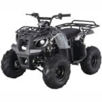 D125 Automatic ATV with Reverse - Image 4