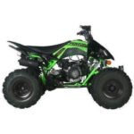 2025 ODES PENTORA EFI SPORT 176cc FULLY AUTOMATIC ATV - Image 11