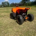 Anaheim Ducks Limited Edition 800W E ATV 72HR SALE - Image 10