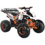 TrailMaster 125cc Utility ATV - Image 12