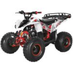 TrailMaster 125cc Utility ATV - Image 16