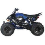 2025 ODES PENTORA EFI SPORT 176cc FULLY AUTOMATIC ATV - Image 18