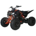 2025 ODES PENTORA EFI SPORT 176cc FULLY AUTOMATIC ATV - Image 9
