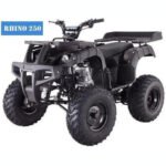 RHINO 250 Manual ATV with Reverse - Image 3