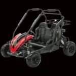 200 WOLF Fully Automatic kid's GO KART
