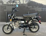 Amigo Rocky 125cc Mini Motorcycle - Image 5