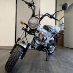 Amigo Rocky 125cc Mini Motorcycle - Image 34