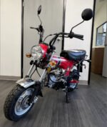 Amigo Rocky 125cc Mini Motorcycle - Image 21