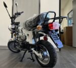 Amigo Rocky 125cc Mini Motorcycle - Image 19