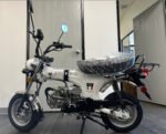 Amigo Rocky 125cc Mini Motorcycle - Image 7