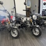 Amigo Rocky 125cc Mini Motorcycle - Image 14