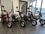 Amigo Rocky 125cc Mini Motorcycle - Image 15