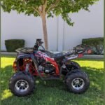 COMMANDER DLX 125CC AUTOMATIC ATV W/ REVERSE - Image 7