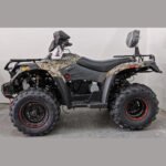 Big Horn 300 (4X4) DX Automatic ATV - Image 4