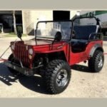 COMMANDO 125cc JEEP 3-Speed semi-auto with reverse ATV - Image 4