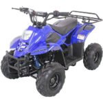 HAWK 110CC AUTOMATIC ATV - Image 2